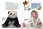 Preview: Entdecke die Pandas